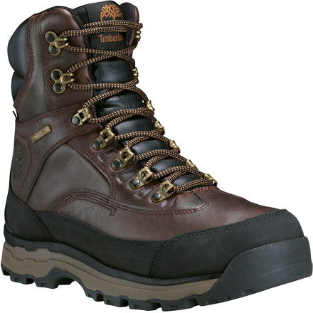 Timberland Chocorua Trail 2 8 Waterproof Insulated Hiking Boot - Men's-Dark Brown-Medium-7