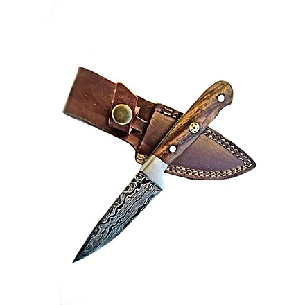 Titan International Knives Damascus Cheff Fixed Blade Pairing Knife, 8 inch, TDK-217