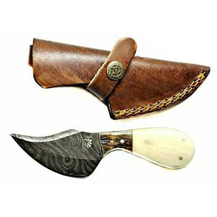 Titan Skinner Camel Bone Stag Handle 6 in Blade Knife TD-043, TDK-43