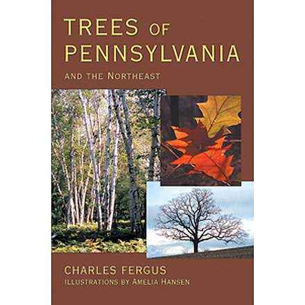 Trees Of Pennsylvania And Ne, Charles Fergus, Publisher - Stackpole Books