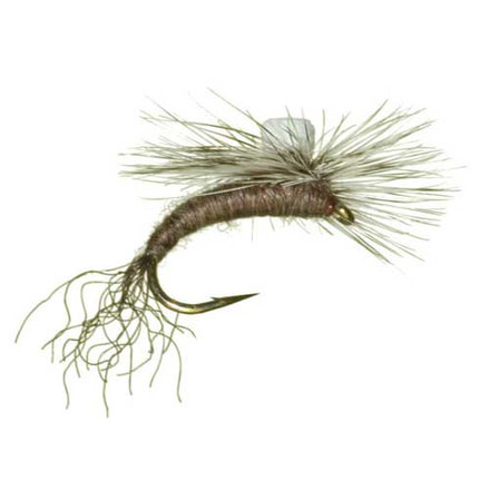 Umpqua Sprout Callibaetis 12