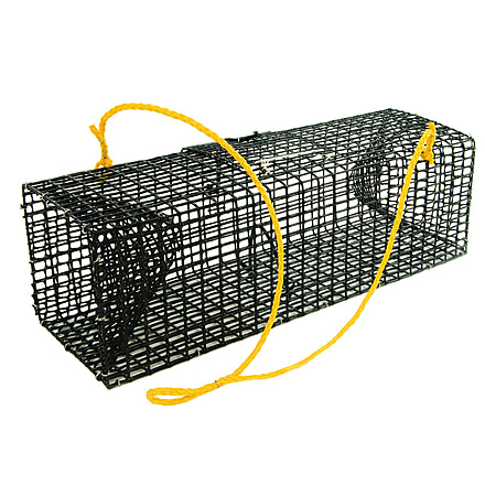 Willapa Crawfish Trap, 120