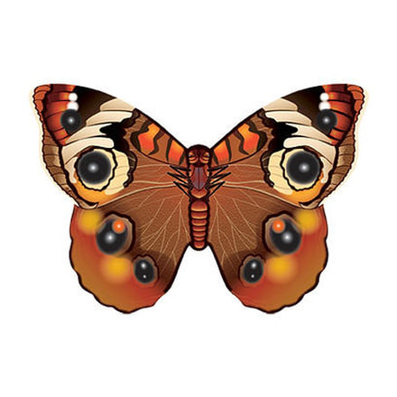 WindNSun Microbutterfly - Buckeye 70152