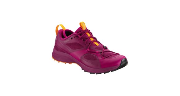 Arc'Teryx Norvan VT GTX Shoe, Liberty/Arcturus, 9.5 US, 20730-Liberty/Arcturus-9.5