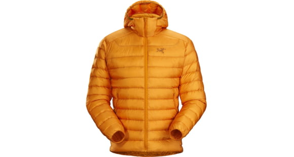 Arc'teryx Cerium LT Hoody - Men's, Quantum, Extra Small, 434903