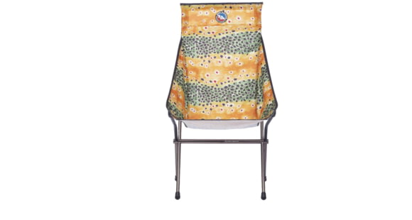 Big Agnes Big Six Camp Chair, Brown Trout, Regular, FBSCCT21