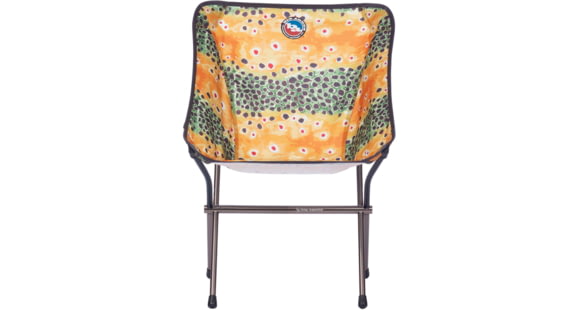 Big Agnes Mica Basin Camp Chair, Brown Trout, Standard, FMBCCT21