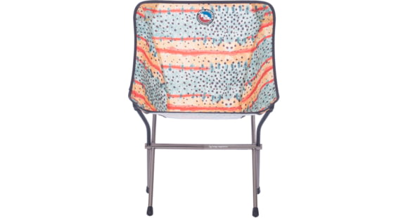 Big Agnes Mica Basin Camp Chair, Greenback, Standard, FMBCCGT22