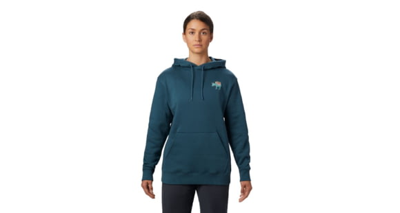 Mountain Hardwear Hotel Basecamp Pullover Hoody - Womens, Icelandic, Large, 1882291324-Icelandic-L