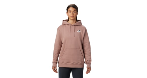Mountain Hardwear Hotel Basecamp Pullover Hoody - Women's, Smoky Quartz, Extra Small, 1882291642-XS