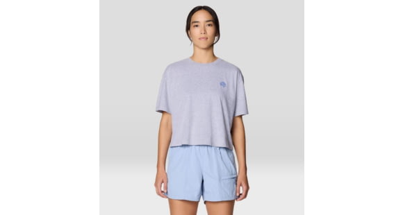 Mountain Hardwear Fossils W Boxy Crop Top - Women's, Hardwear Grey Heather, L, 2149631-057-L