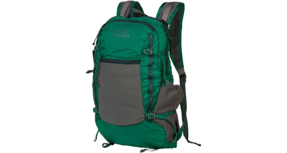 Mystery Ranch In and Out Daypack, 19L, One Size, Grass, 110311-330-00
