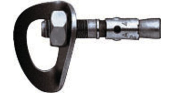 Petzl Coeur Goujon Anchor 10mm P32