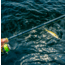 13 Fishing JINX Spin Rod