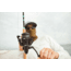 Rapala AL13 Spinning Reel 5.2:1 Power Ratio, Salt, Black, 3, AL13-5.2-3.0