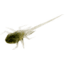 Rapala BAMF Panfish Plastics Creature Bait, 6, 5in, Greenhead, BA-GH