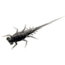 Rapala Bernie Panfish Plastics Soft Bait, 6, 5in, Black Magic, BN-BM