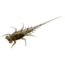Rapala Bernie Panfish Plastics Soft Bait, 6, 5in, Panfish Whiskey Sour, BN-WS
