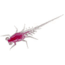 Rapala Bernie Panfish Plastics Soft Bait, 6, 5in, Snozberry, BN-S