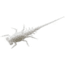 Rapala Bernie Panfish Plastics Soft Bait, 6, 5in, White, BN-W