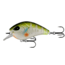 Rapala Flatty Daddy Flat Sided Crankbait 2.5in, 1/2oz, Dream Gill, 2.5in, FD65-6-8