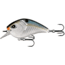 Rapala Flatty Daddy Flat Sided Crankbait 2.5in, 1/2oz, Natty Light, 2.5in, FD65-6-14