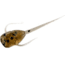 Rapala Paralyzer Panfish Plastics Soft Bait, 6, 5in, Panfish Whiskey Sour, PL-WS