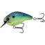 Rapala Scamp Square Bill, 1/2oz, Chicken of the Sea, 1.5in, E-SC15-31