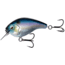 Rapala Scamp Square Bill, 1/2oz, Fantasy Shad, 1.5in, E-SC15-FS