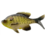 Rapala The Gill Wege Tail Swimbaits, 1, 5.25in, Natural Sunfish, CB-GillW5.25-8