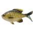 Rapala The Gill Wege Tail Swimbaits, 1, 5.25in, Rusty Bream, CB-GillW5.25-11
