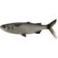 Rapala The Mullet Boot Tail Swimbaits, 1, 5 - 6.5in, Natural Mullet, CB-MULLET-B-6.5-20
