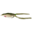 Rapala Trash Panda Walking Frog 2.5in, 9/16oz, Dream Gill, 2.5in, TPWF-8