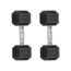 Flybird Fitness Flybird Rubber Hex Dumbbells 2E92C108, 8039391789314