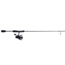 Abu Garcia Max SX Spinning Rod and Reel Combo