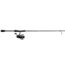 Abu Garcia Max SX Spinning Rod and Reel Combo
