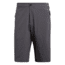 Adidas Terrex Lite Flex Short - Men's, Grey Five, 34, CF4718-34