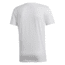 Adidas Terrex Logo Tee - Mens, White, DT4158-DEMO