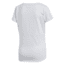 Adidas Terrex Logo Tee - Women's, Aero Blue, DT4213-DEMO