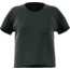 Adidas Terrex Onsight Tee - Women's, Legend Ivy, DS9984-DEMO