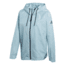 Adidas Terrex Urban Climastorm Jacket - Women's, Ash Grey, DQ1618-DEMO