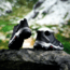 Adidas Terrex Ax2R - Kids, Black/Black/Vista Gray, 11K, BB1935-11K