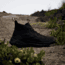 Adidas Terrex IH3524 TERREX FREE HIKER 2, Mens, CBLACK/CBLACK/GREFOU, 12, IH3524-12