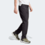 Adidas Terrex IQ1401 XPERIOR PANTS BLACK, Mens, BLACK, 30, IQ1401-30