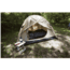 ALPS Mountaineering Taurus 2-Person Outfitter Tent