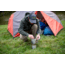 ALPS Mountaineering Chaos 2 Person Tent 5252025