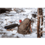 ALPS Mountaineering Journey Trekking Pole