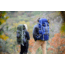 ALPS Mountaineering Red Tail 3900 Pack-Green