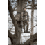 ALPS Outdoorz Contender X Pack, Whitetail, 9930180