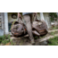 ALPS Outdoorz Crusader X Duffle Bag, 82L, Coyote Brown, 9921700